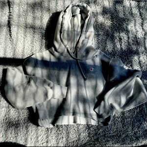 Champion Cropped Hoodie